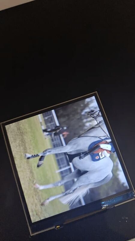 3.4 Inch 800x800 Color LCD Display 350 cd/m2 Square LCD Panel For Industrial Applications