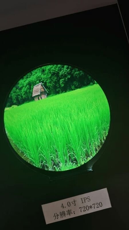 480x800 LCD TFT Panel 4 Inch Round TFT LCD Display With IPS Full Viewing Angle